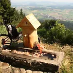 Genusshotel Hohenbogen Ξενοδοχείο 3*
