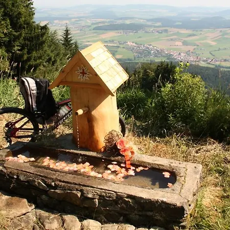 Genusshotel Hohenbogen فندق 3*