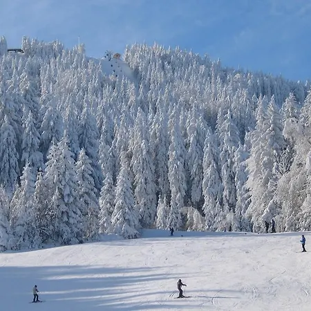 Genusshotel Hohenbogen نيوكيرتشن بيم هيليغين بلوت