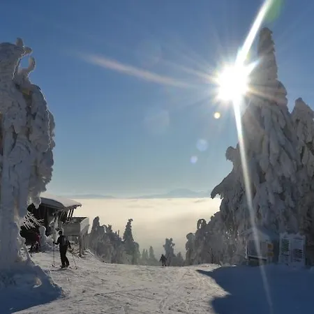 Hotel Genusshotel Hohenbogen Neukirchen beim Heiligen Blut